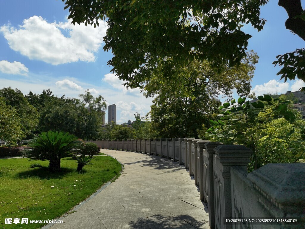 公園中的蜿蜒小徑與綠植