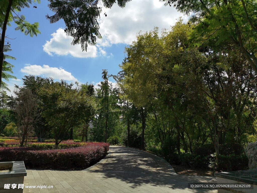 美麗園林景觀