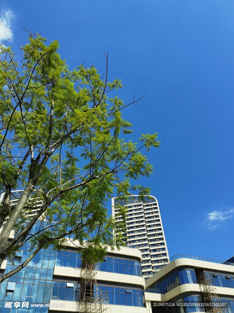 城市中藍(lán)天綠樹旁的建筑