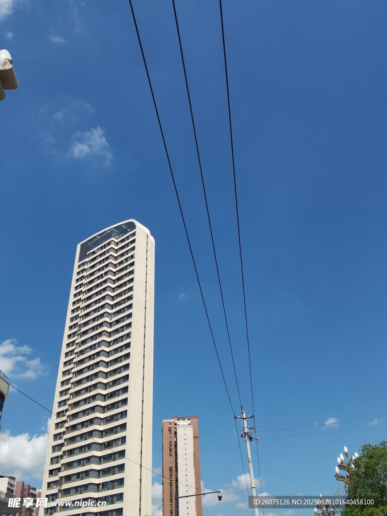 城市高樓與藍天電線景觀