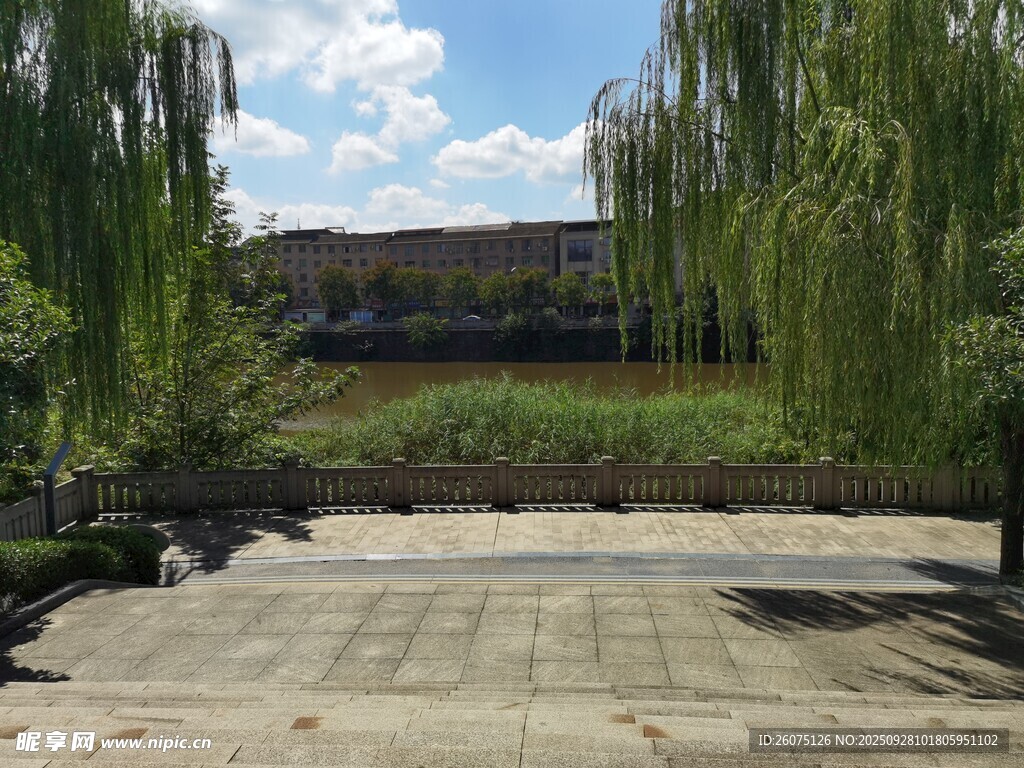 庭院中的柳蔭與開闊地面