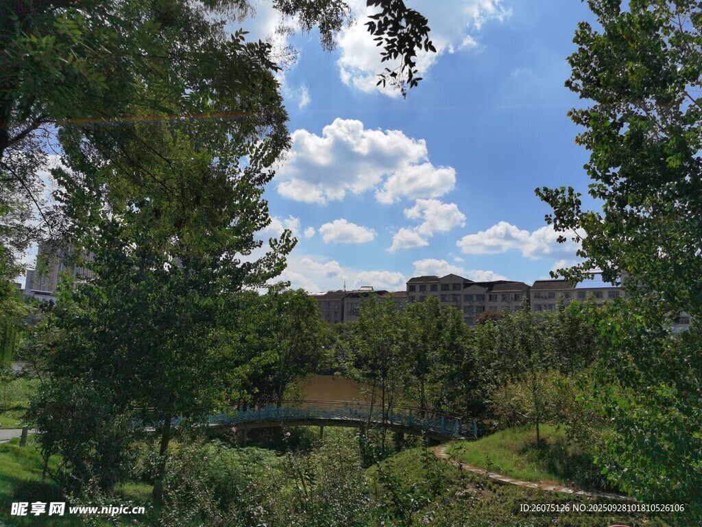 郊外綠樹藍(lán)天的寧靜景致