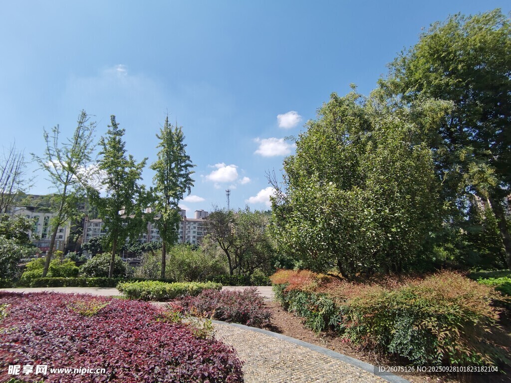 美麗花園景觀