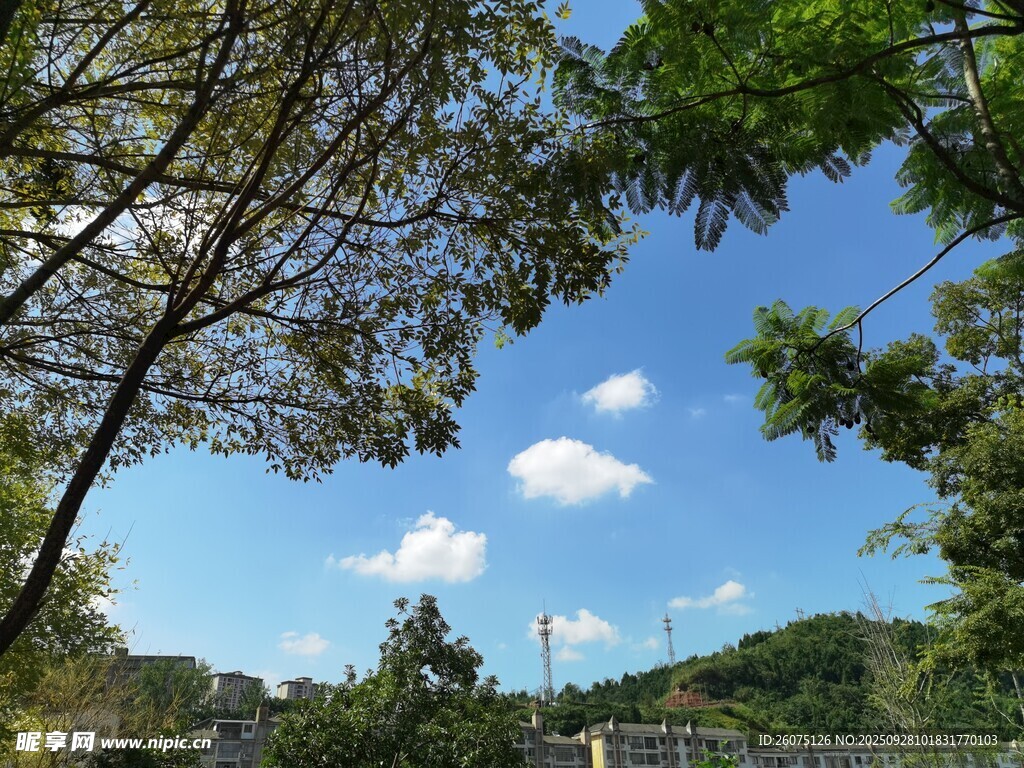藍(lán)天綠樹(shù)間的自然景致