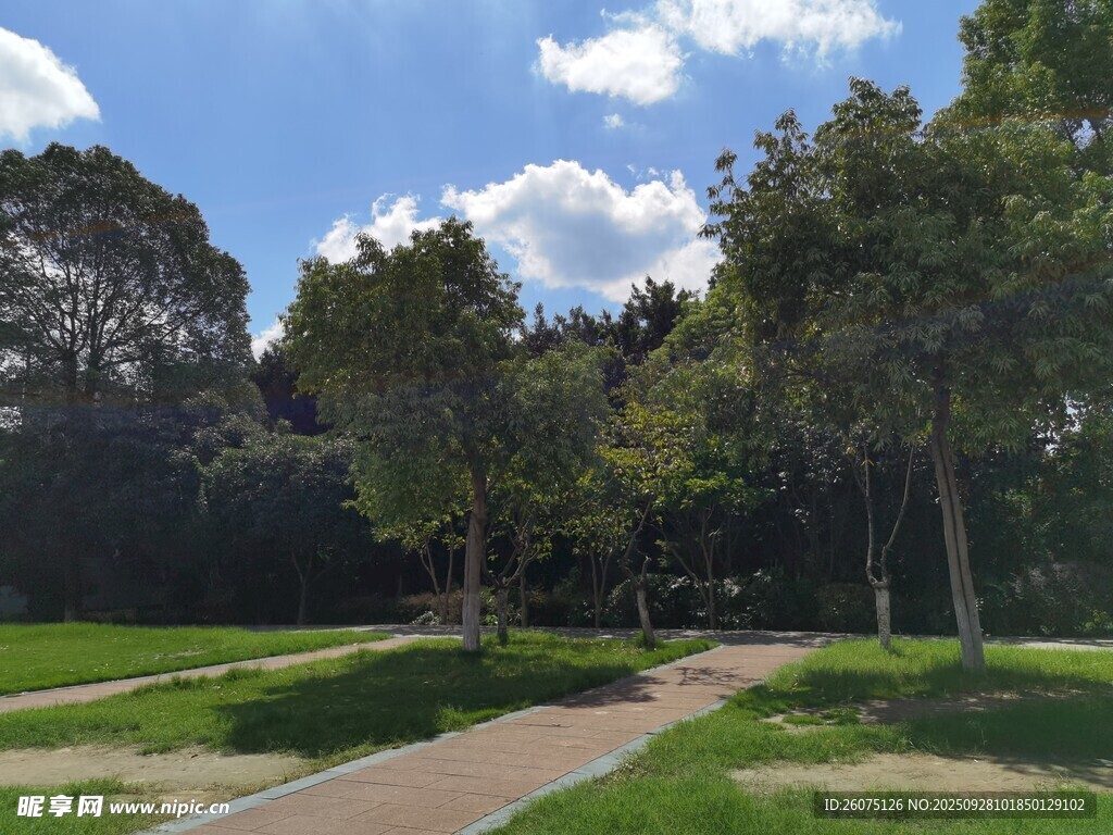 公園綠蔭小徑風(fēng)景