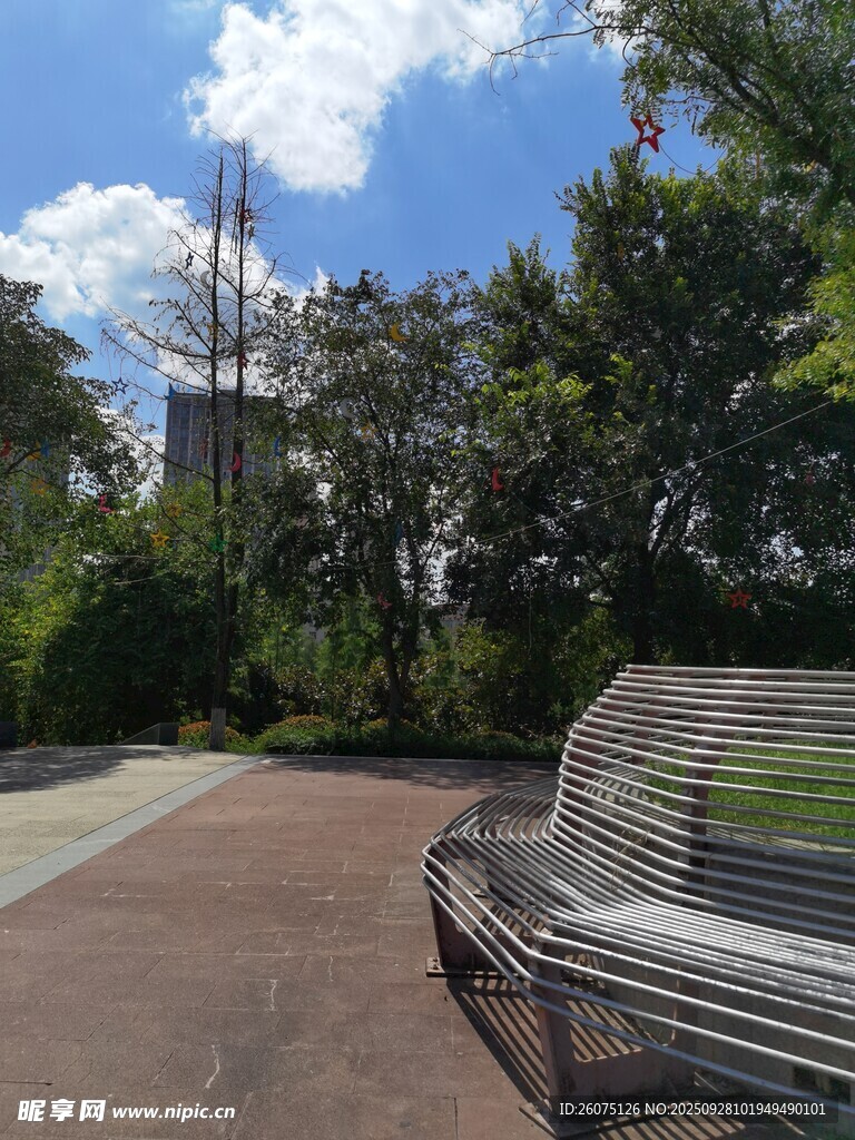 公園長(zhǎng)椅旁的晴朗景致