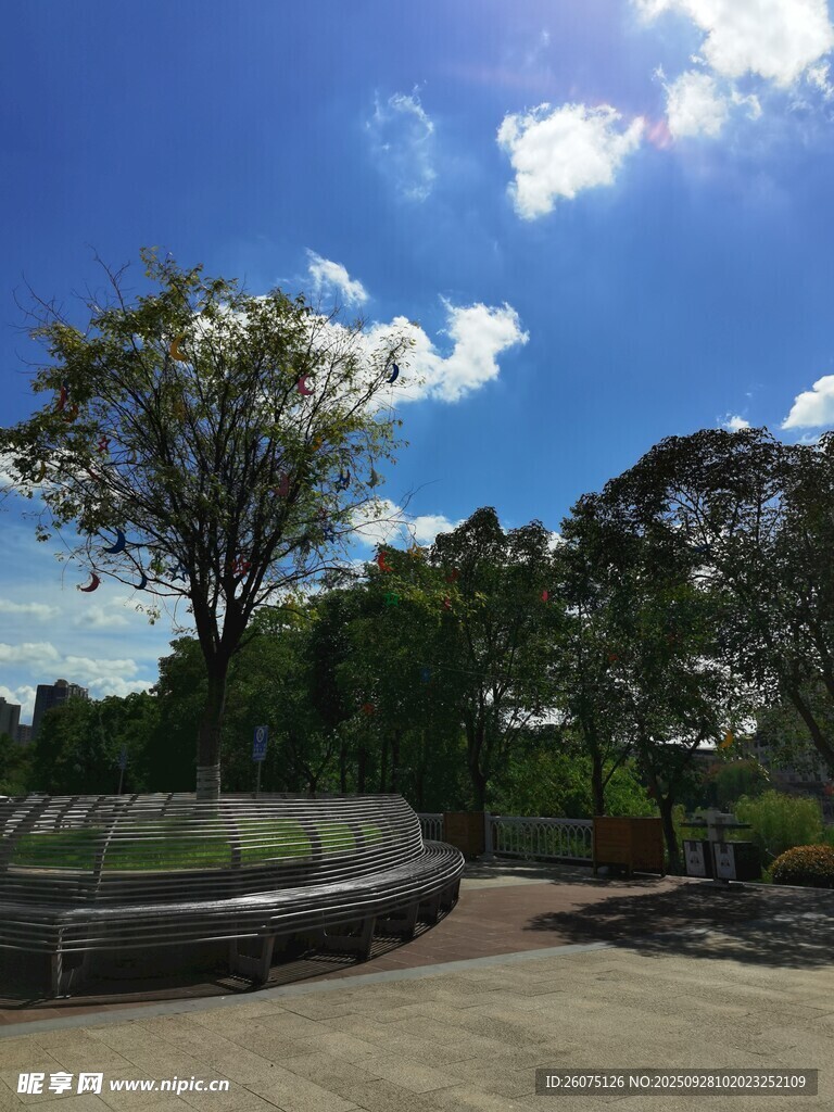 公園美景綠樹藍天相映