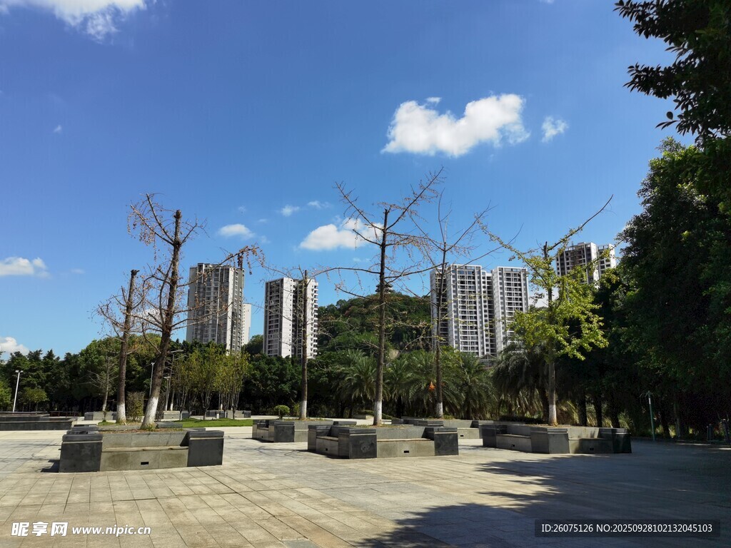 城市廣場景觀