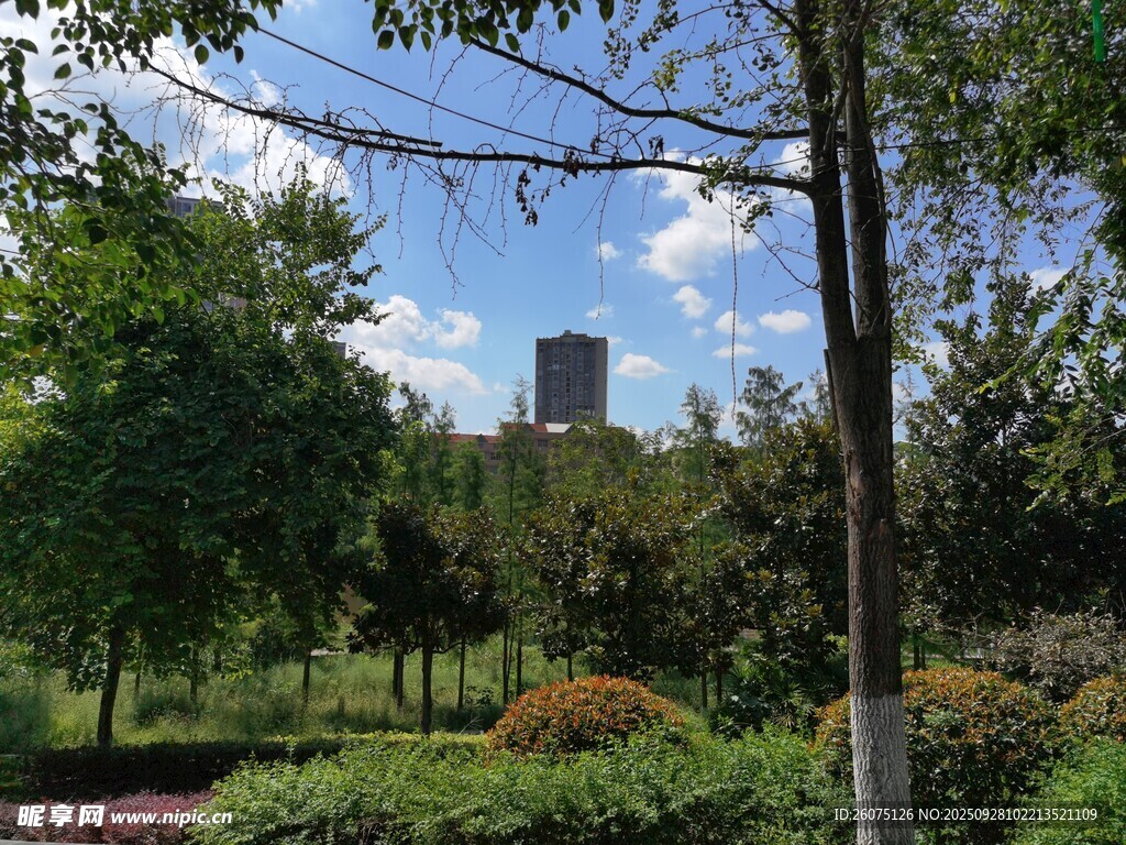 城市中的綠意盎然景觀