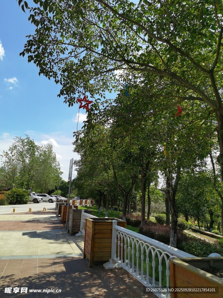 林蔭步道愜意戶外景致