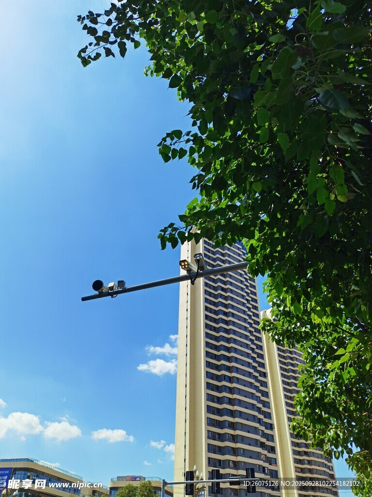 城市高樓與藍天綠樹景觀