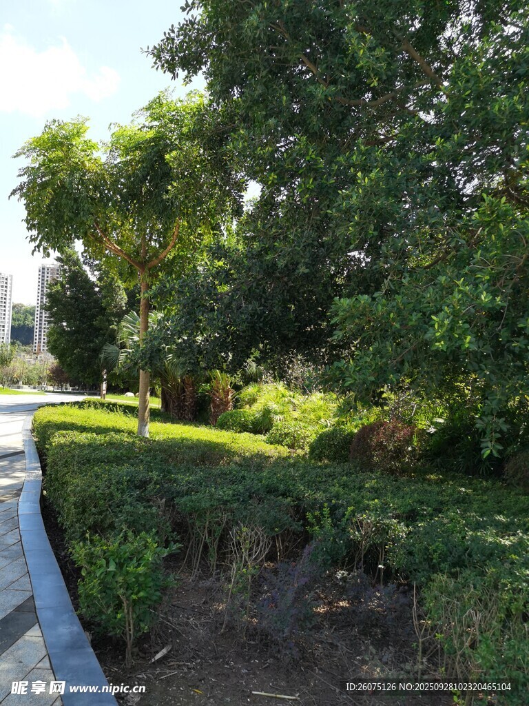 綠意盎然的戶外園林景觀