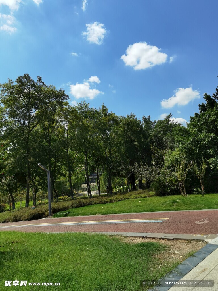 郊外綠意盎然的開闊風(fēng)景