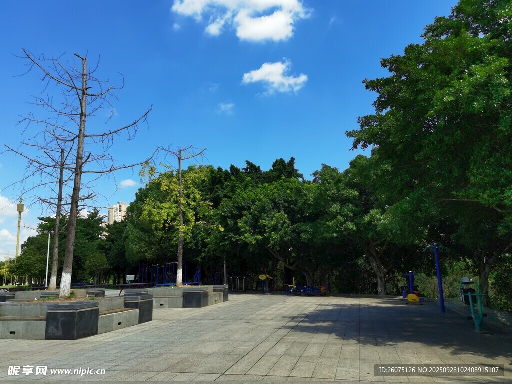 公園開(kāi)闊廣場(chǎng)綠樹(shù)藍(lán)天