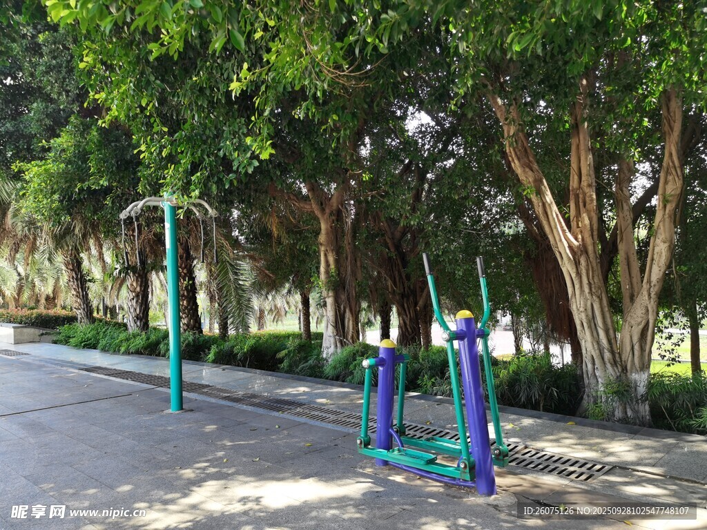 公園中的戶外健身器材