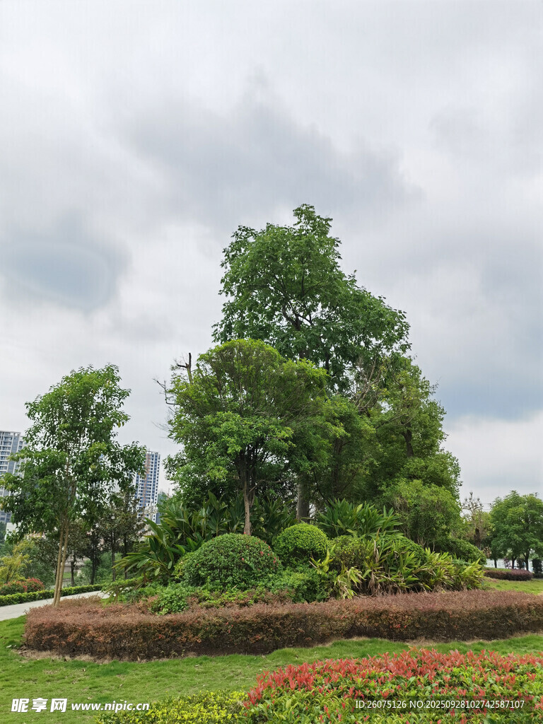 園林綠植景觀生機(jī)盎然