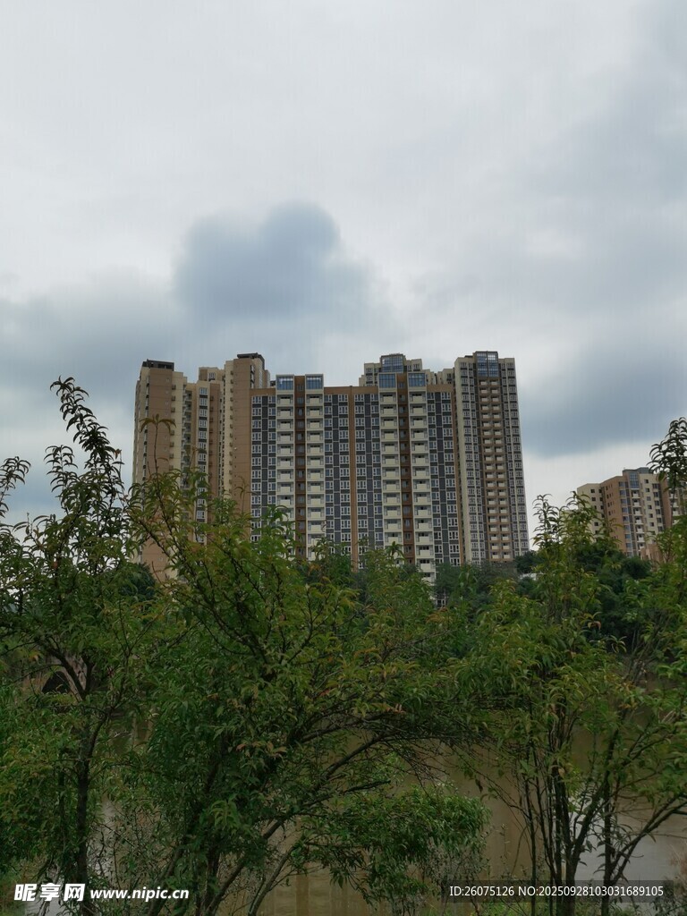 城市綠樹(shù)環(huán)繞的高層住宅