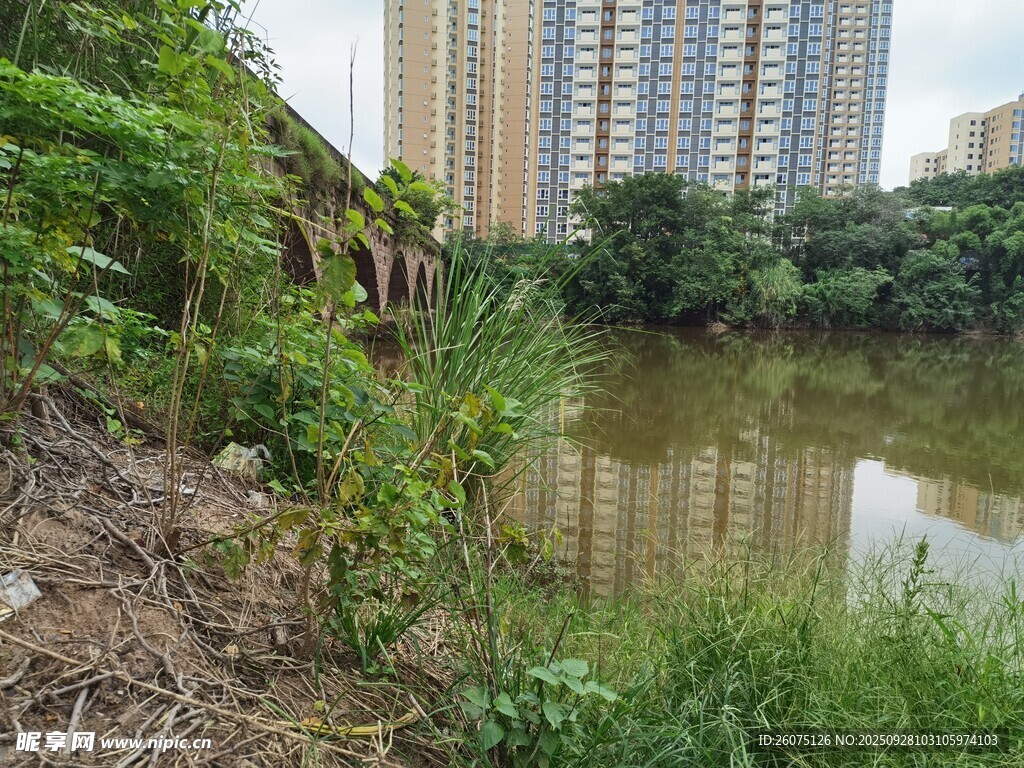 城市河畔綠植景觀