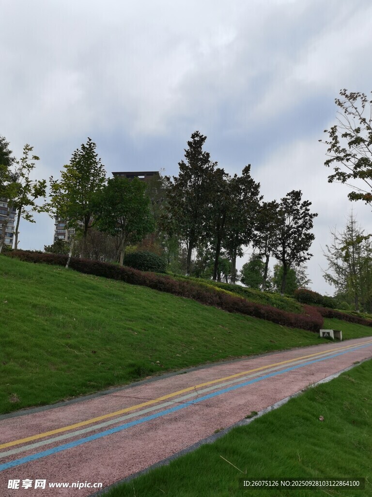 彩色步道旁的綠意景觀