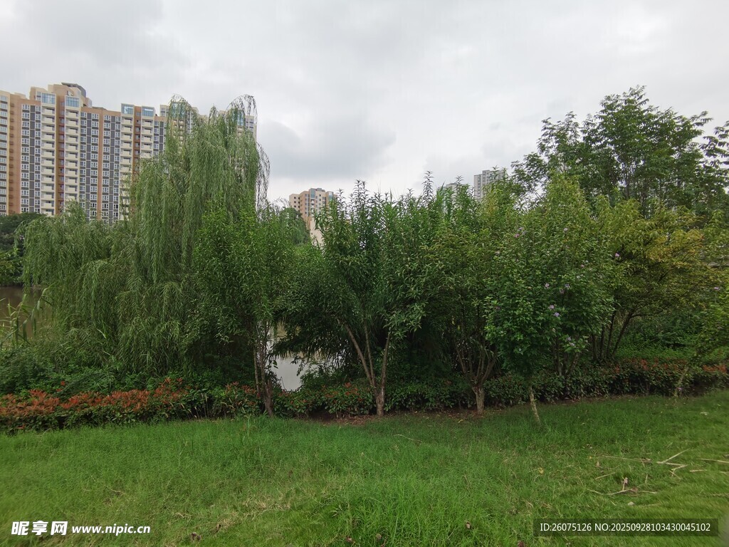城市綠地中的蔥郁景觀