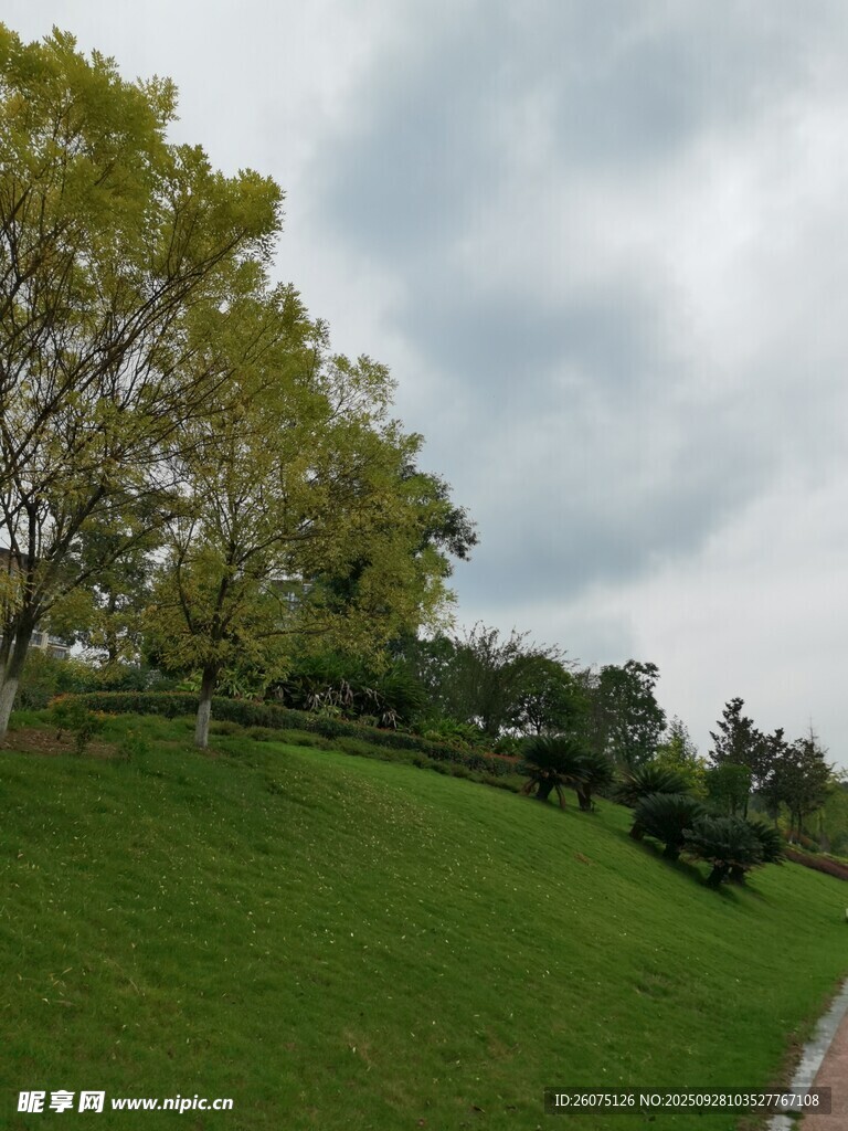 綠意盎然的草地與樹木景觀