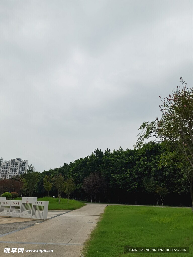 戶外草地與樹木景觀