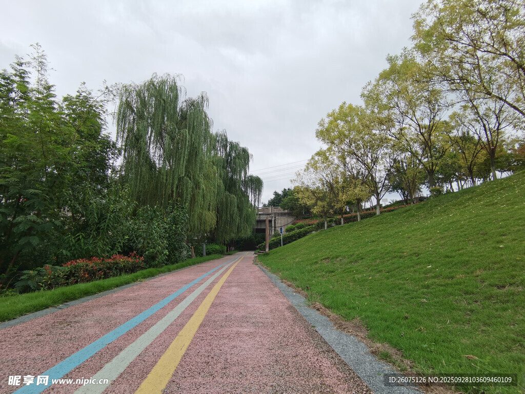 彩色步道旁的綠意風(fēng)景