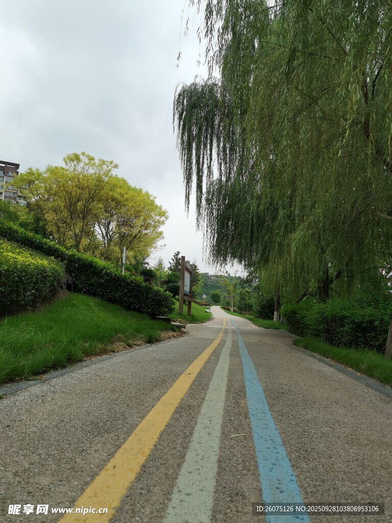 多彩林蔭路清新自然景