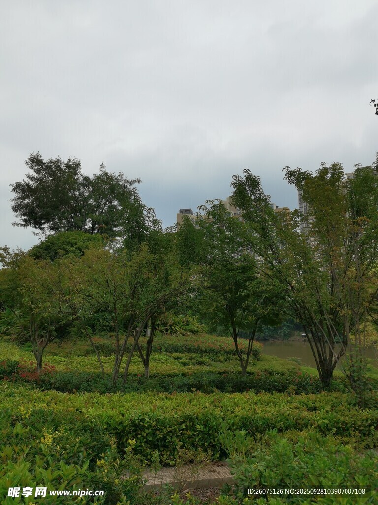 綠意盎然的戶外園林景觀