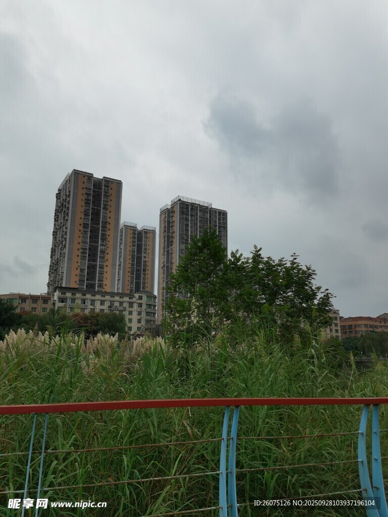 高樓前的綠植與陰沉天空