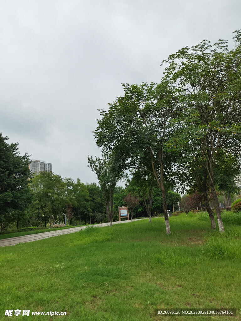 綠意盎然的戶外草地風(fēng)景