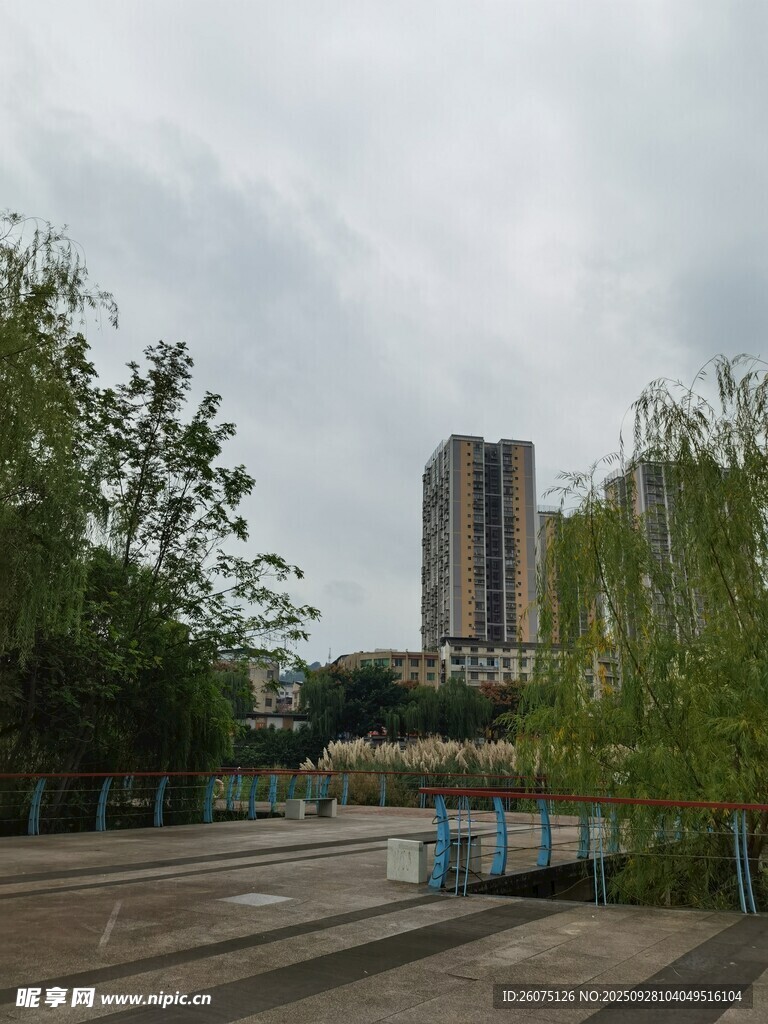 城市公園旁的高樓景觀