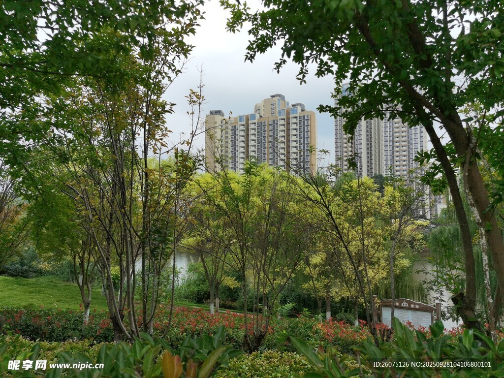 城市中的綠意園林景觀
