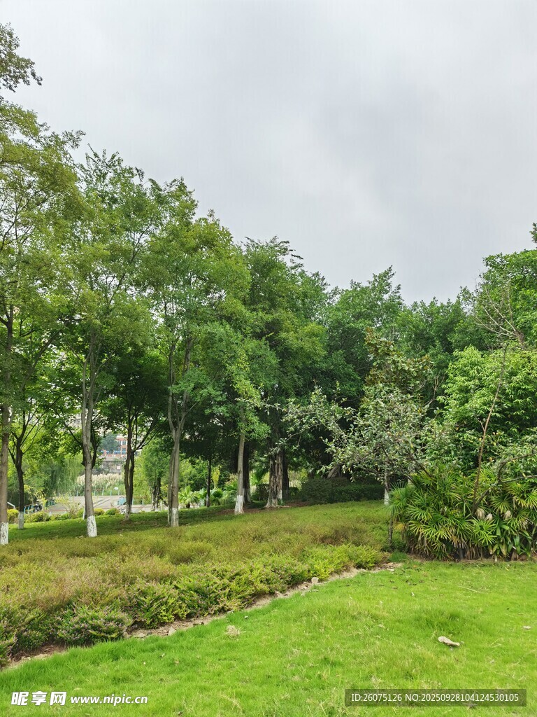 綠意盎然的戶外園林景觀