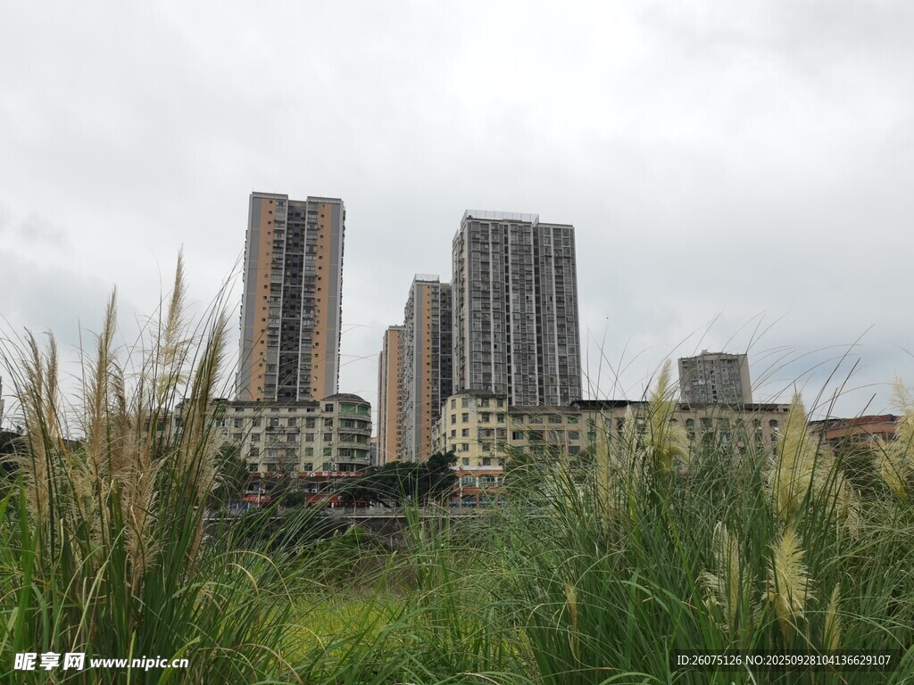 城市與草地的獨特景致