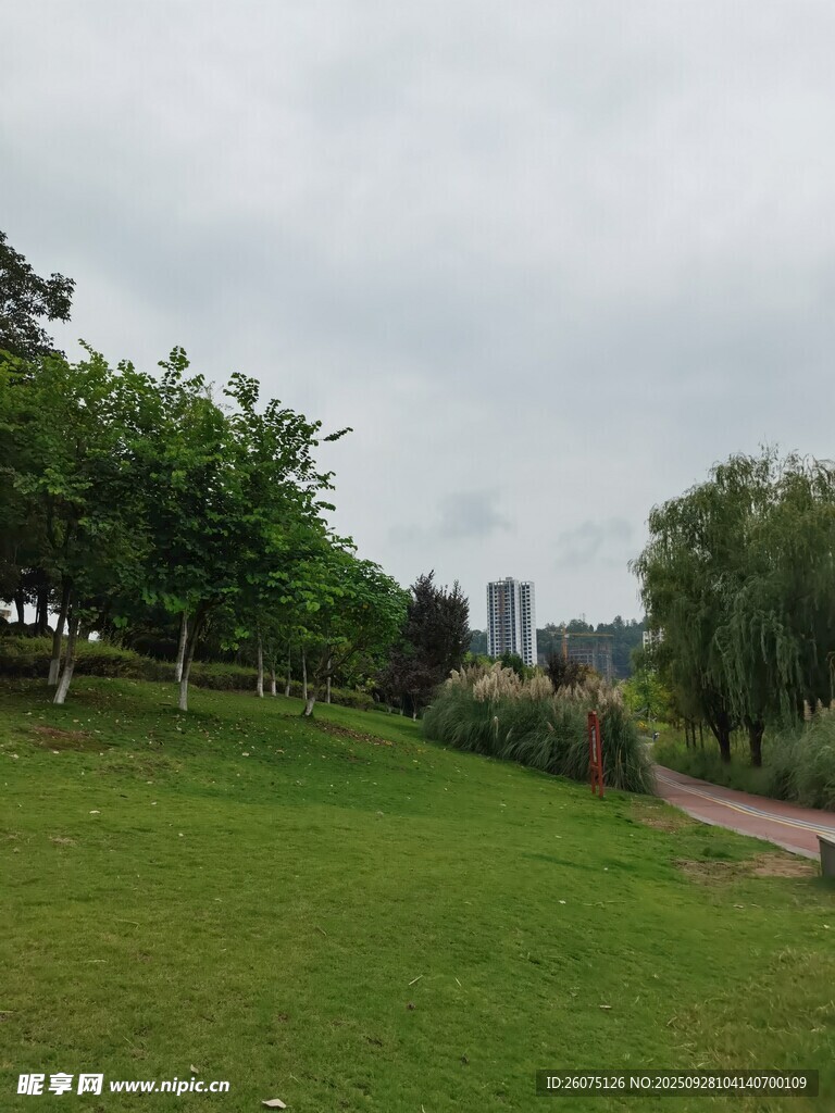 綠意盎然的戶外草地風(fēng)景