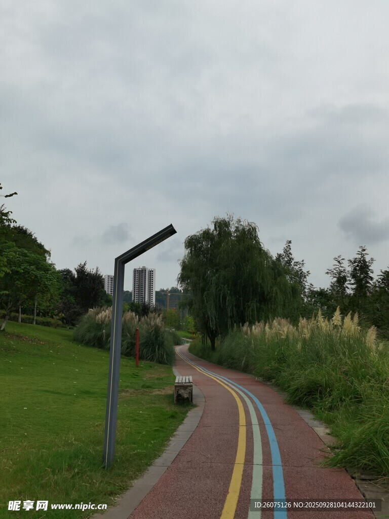 彩色步道旁的戶外景致