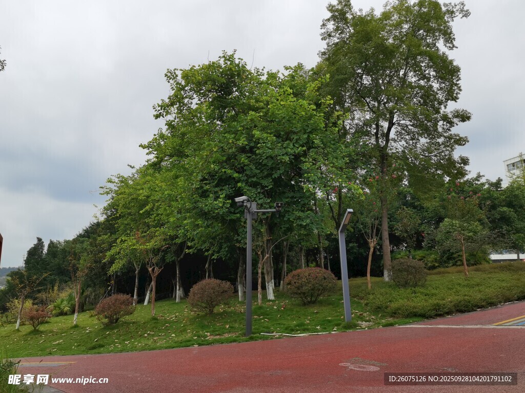 公園綠樹成蔭的景致