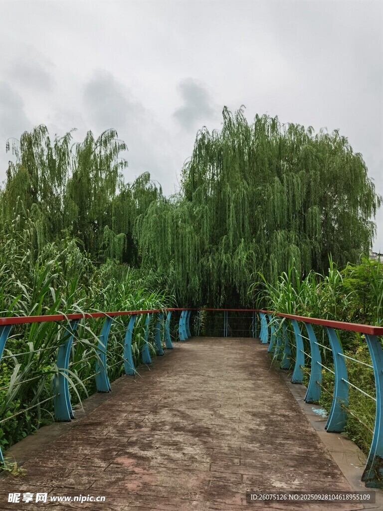 綠樹環(huán)繞的幽靜步道