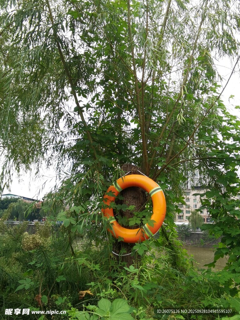 林間橙色圓環(huán)裝置藝術(shù)