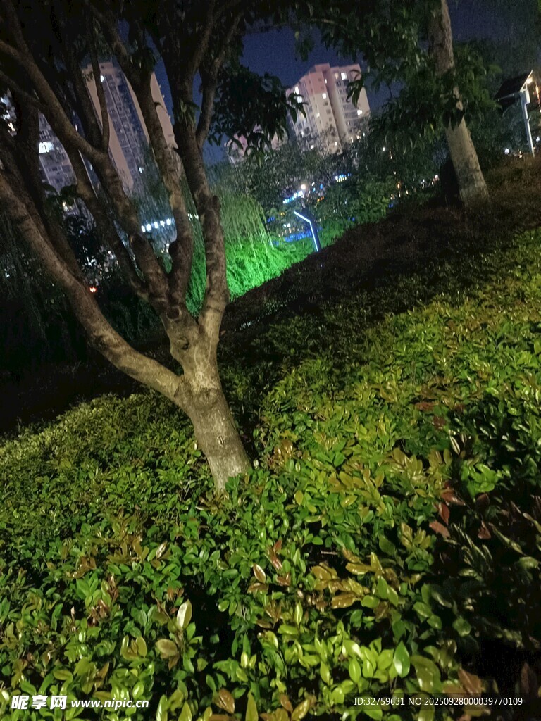 夜晚樹(shù)下綠植景觀