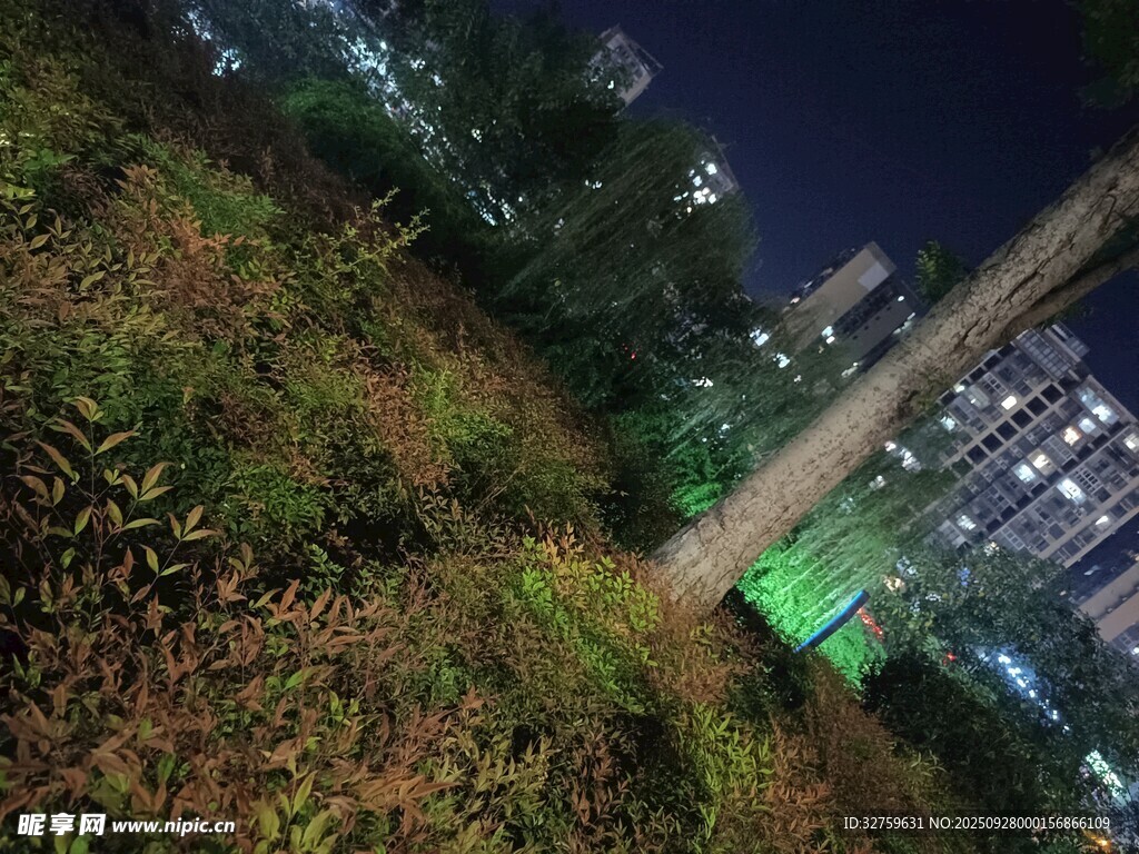 城市夜景下的草地與建筑