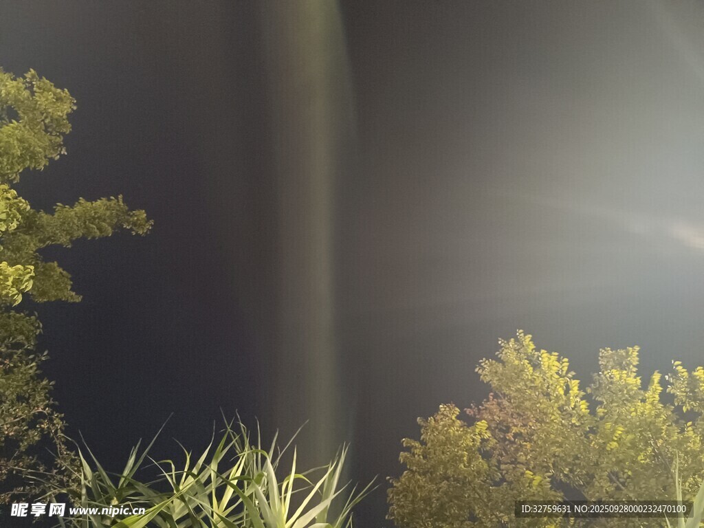 夜中光柱穿透綠植景象