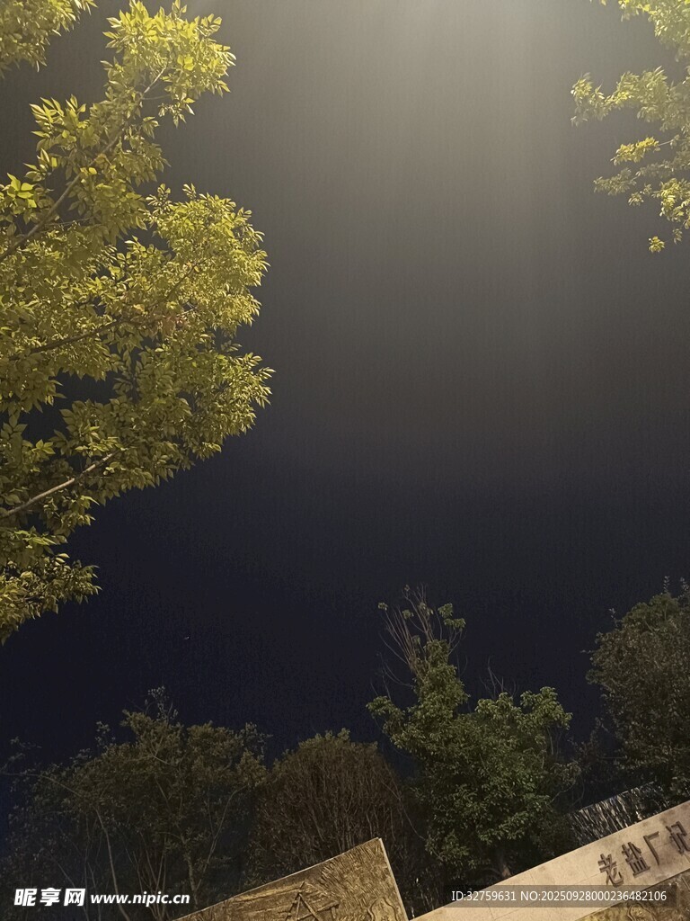 夜晚樹下路燈朦朧景象