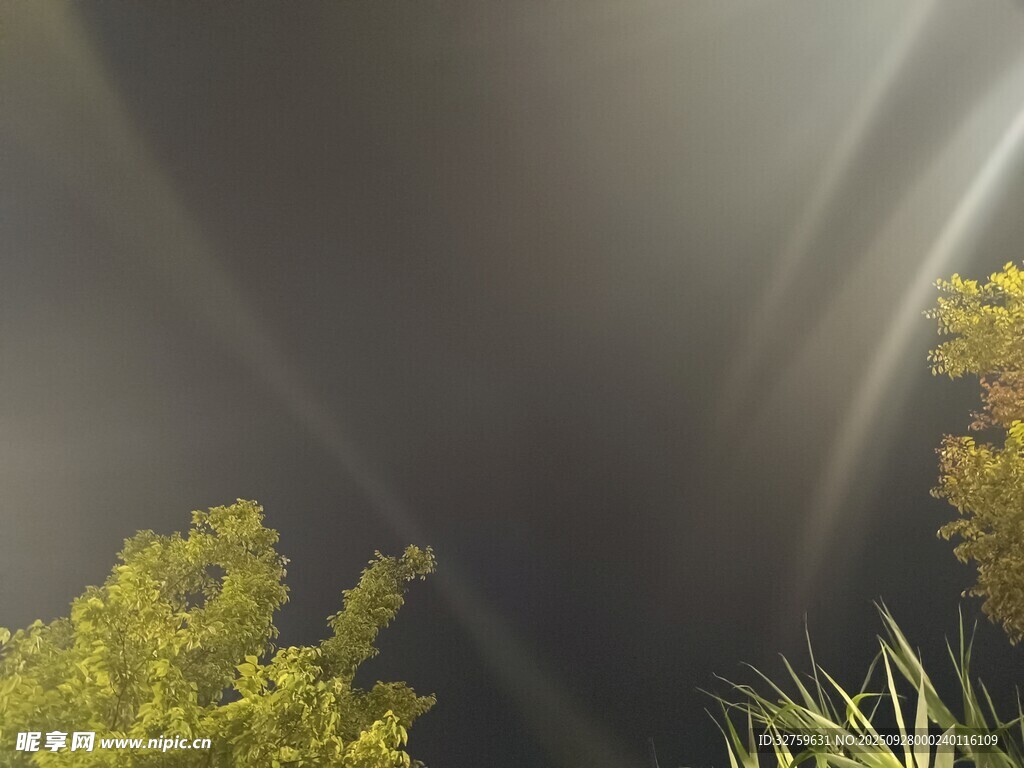 陽(yáng)光穿透枝葉灑下的美景