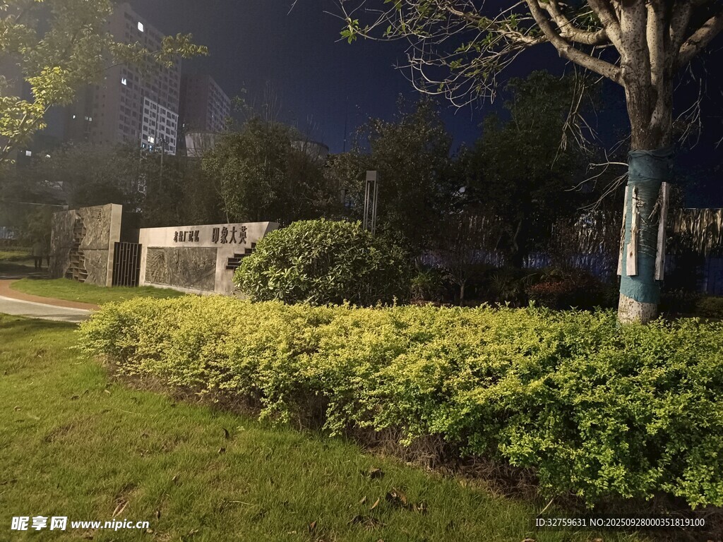 夜晚小區(qū)綠植景觀