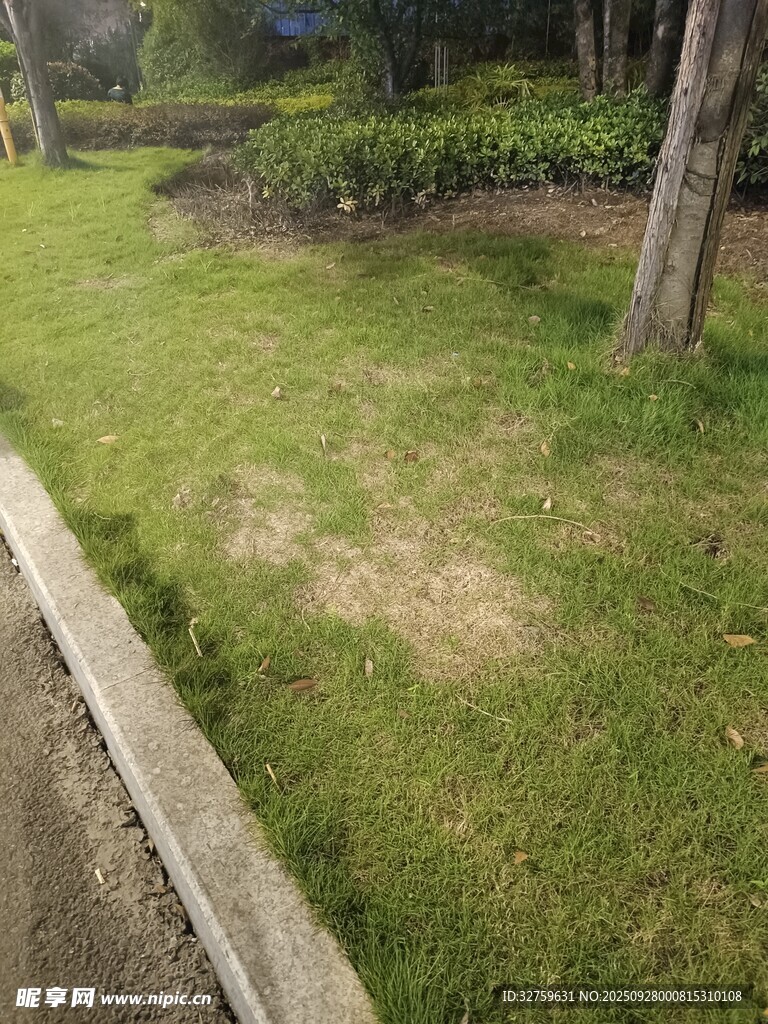 戶外草地景觀