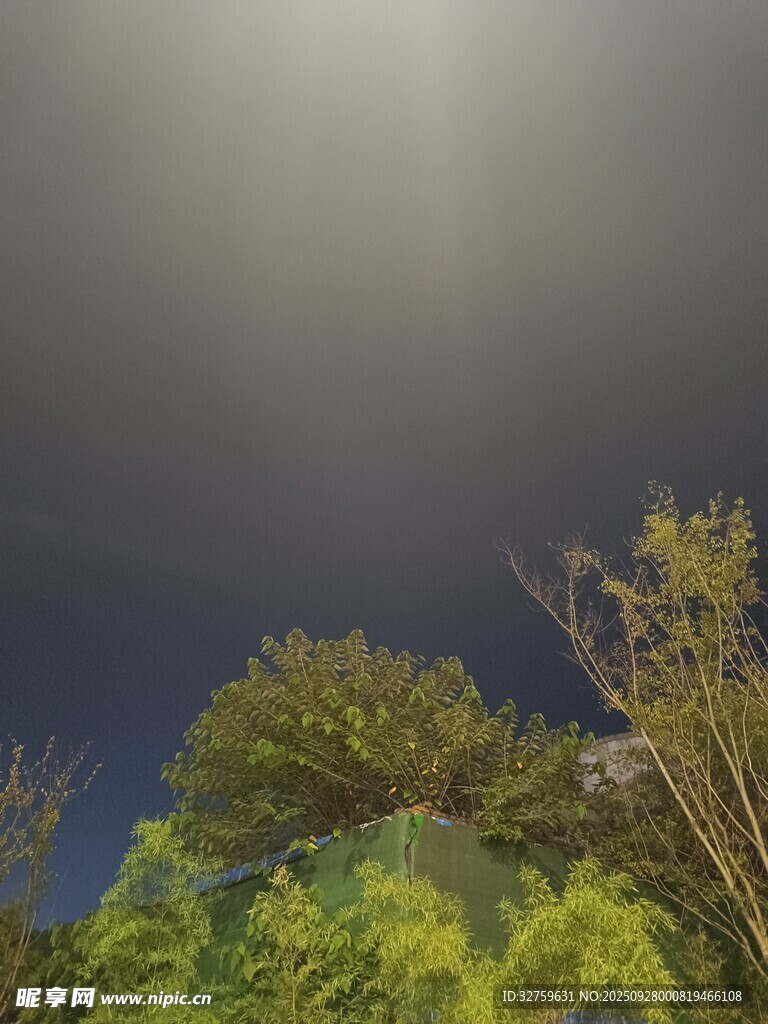 夜幕下的綠植景觀