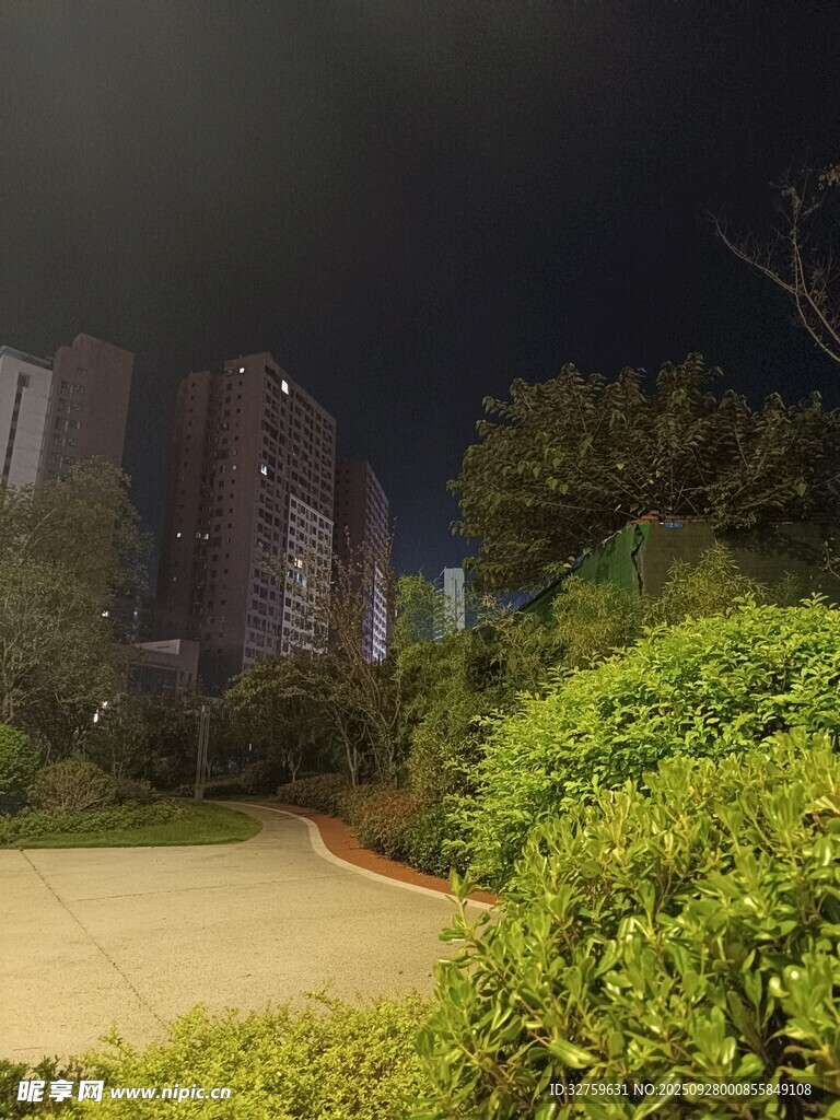 夜晚城市中的綠植景觀