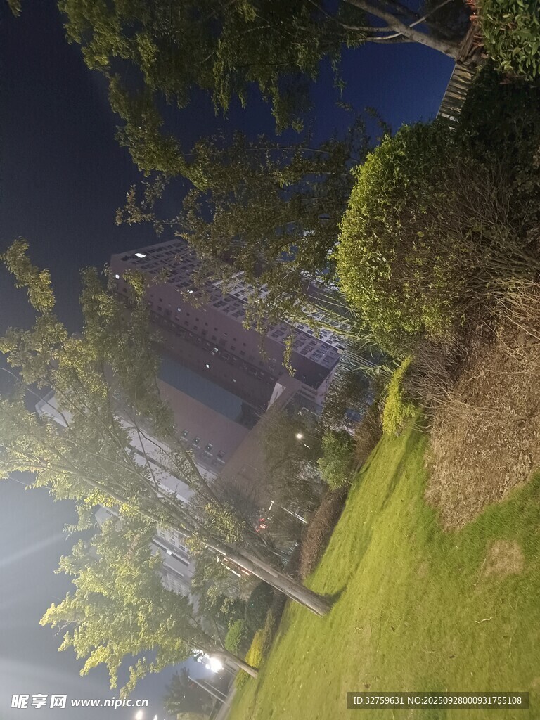 夜晚庭院綠植景觀